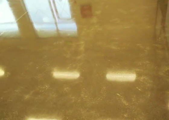 Un buon prezzo. il miglioramento dell'agente indurente di sigillatura Hardener For Concrete di durezza pavimenta in linea